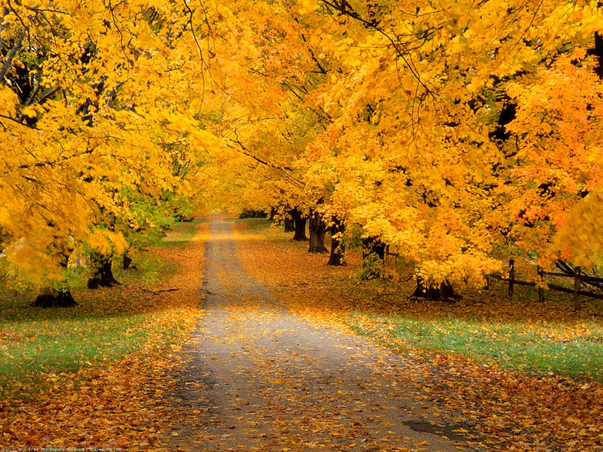 Preview Fall Live Images By Devadas Dayes - Desktop Nature Autumn , HD Wallpaper & Backgrounds