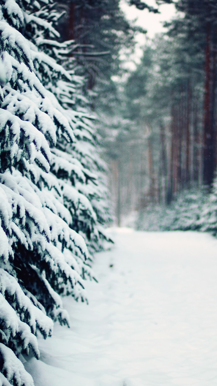 Winter Snow Live Wallpaper - Iphone 7 Plus Wallpaper Snow , HD Wallpaper & Backgrounds