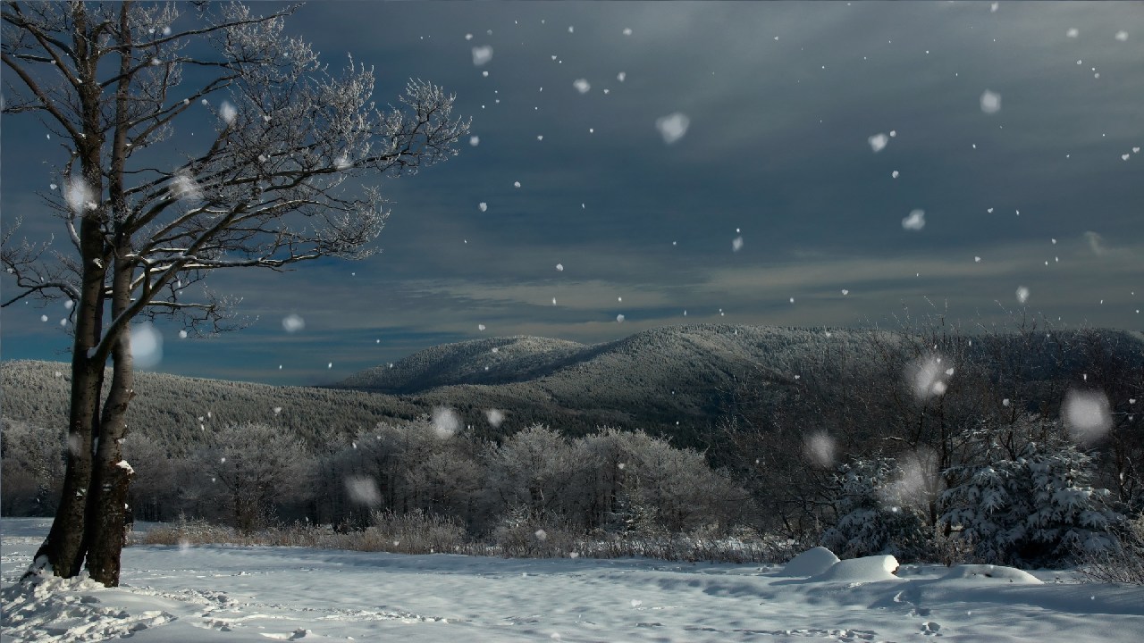 Snowfall 2014 Live Wallpaper - Live Wallpaper Hd Winter , HD Wallpaper & Backgrounds