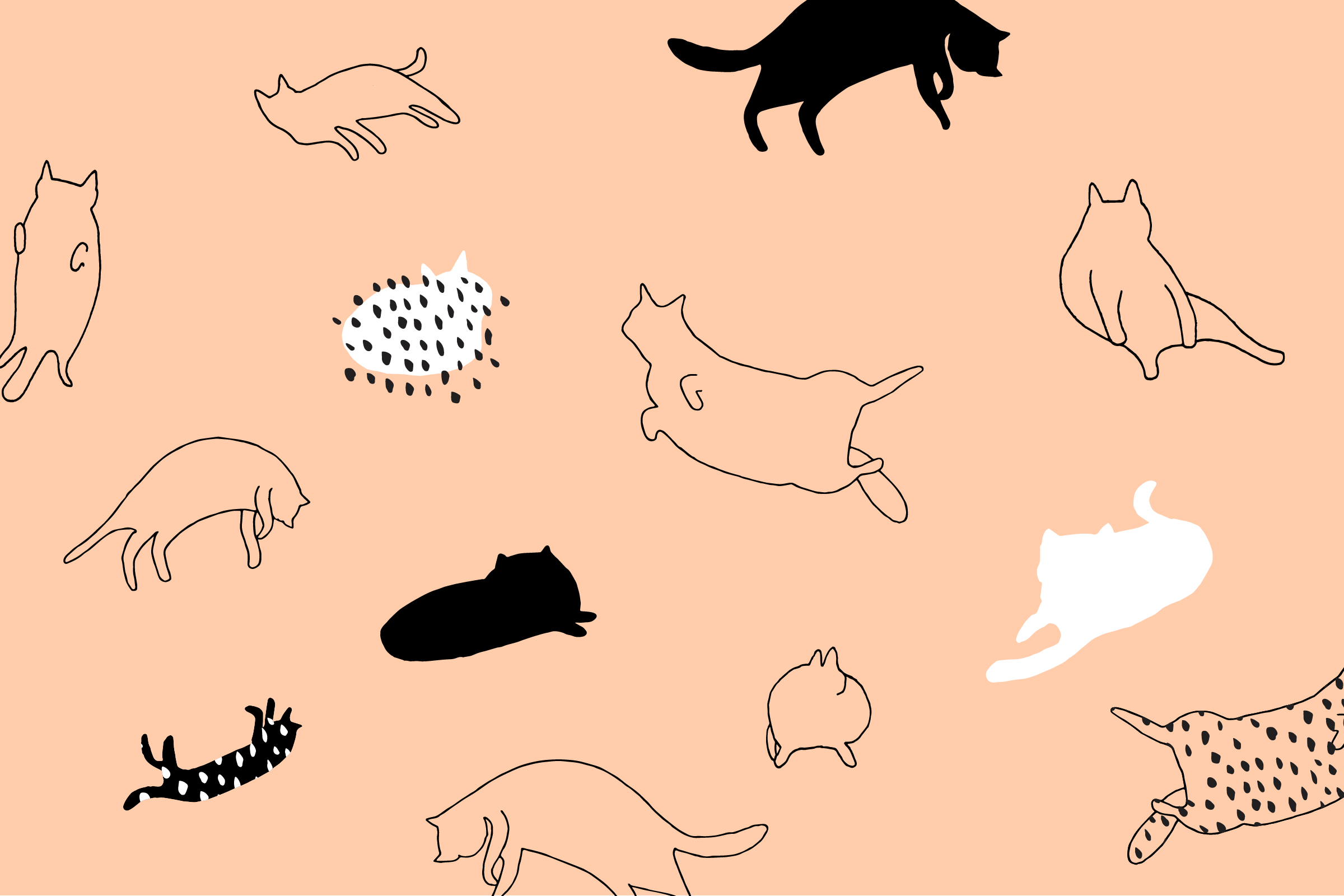 Download Free Cartoon Cat Wallpapers - Desktop Wallpaper Cats (#478452