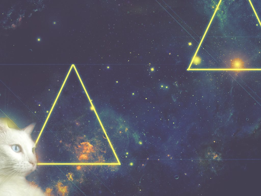 Hipster Cat Wallpapers Phone - Hipster Cat (#478567) - HD Wallpaper \u0026  Backgrounds Download, image size:1024x768