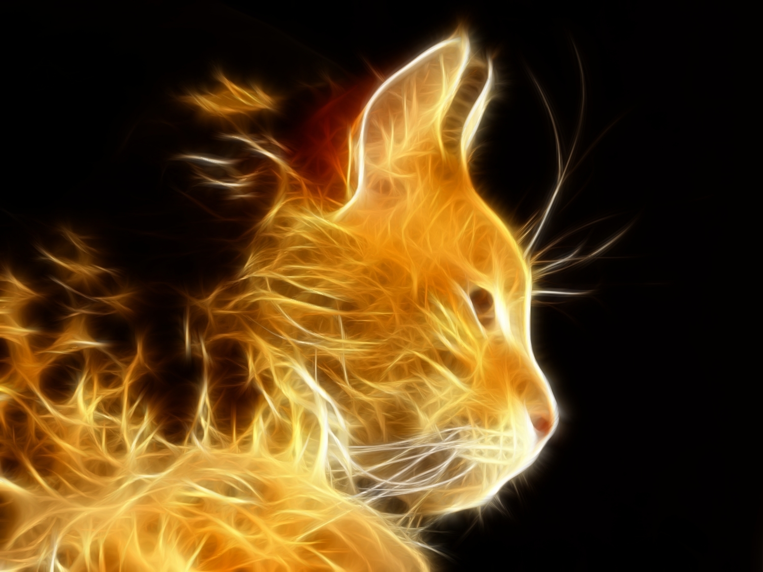 Cool Cat Wallpapers For Phone - Fractal Cat , HD Wallpaper & Backgrounds