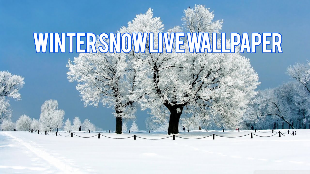 Winter Wallpaper 4k , HD Wallpaper & Backgrounds