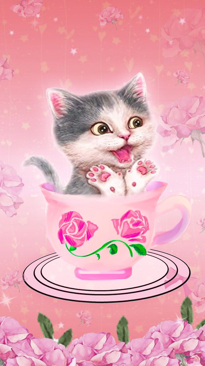 Kitty In A Cup - Cute Cup Love , HD Wallpaper & Backgrounds