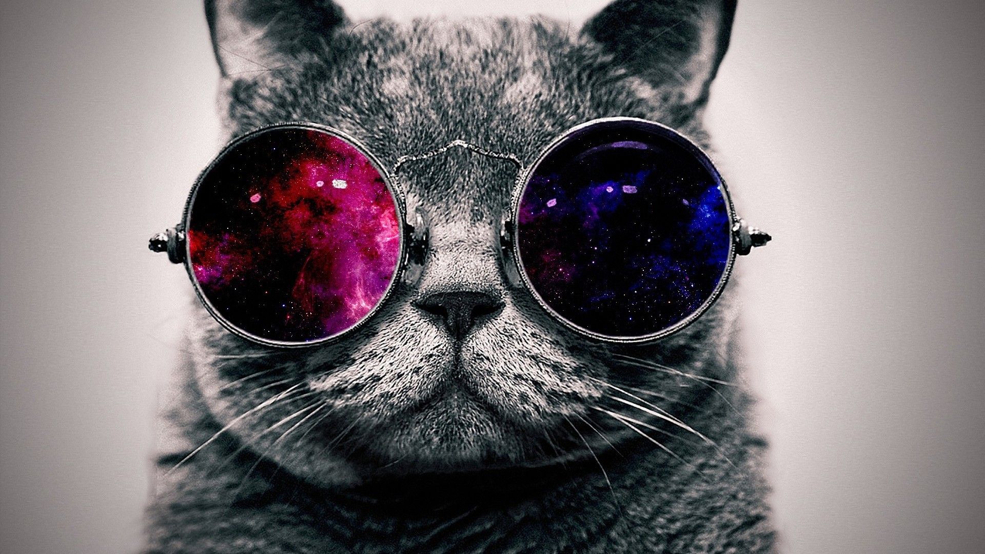 Cool Backgrounds, Laptop Backgrounds, Wallpaper Backgrounds, - Cool Background Cat , HD Wallpaper & Backgrounds