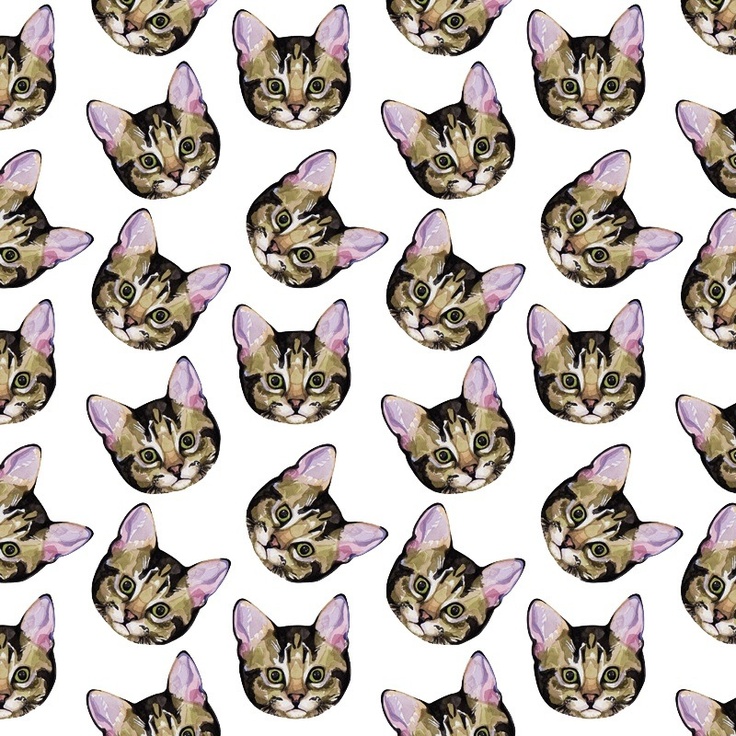 Cat Tumblr Wallpaper - Cat Background , HD Wallpaper & Backgrounds