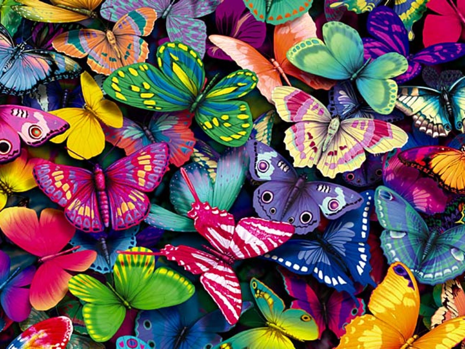Fondos De Mariposas - Colores Mariposas , HD Wallpaper & Backgrounds