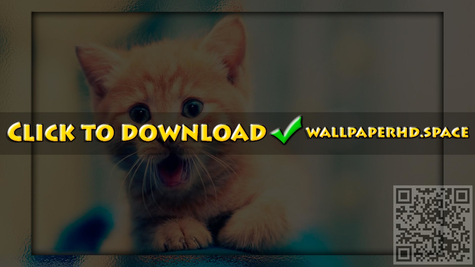 Download - Create Your Own , HD Wallpaper & Backgrounds