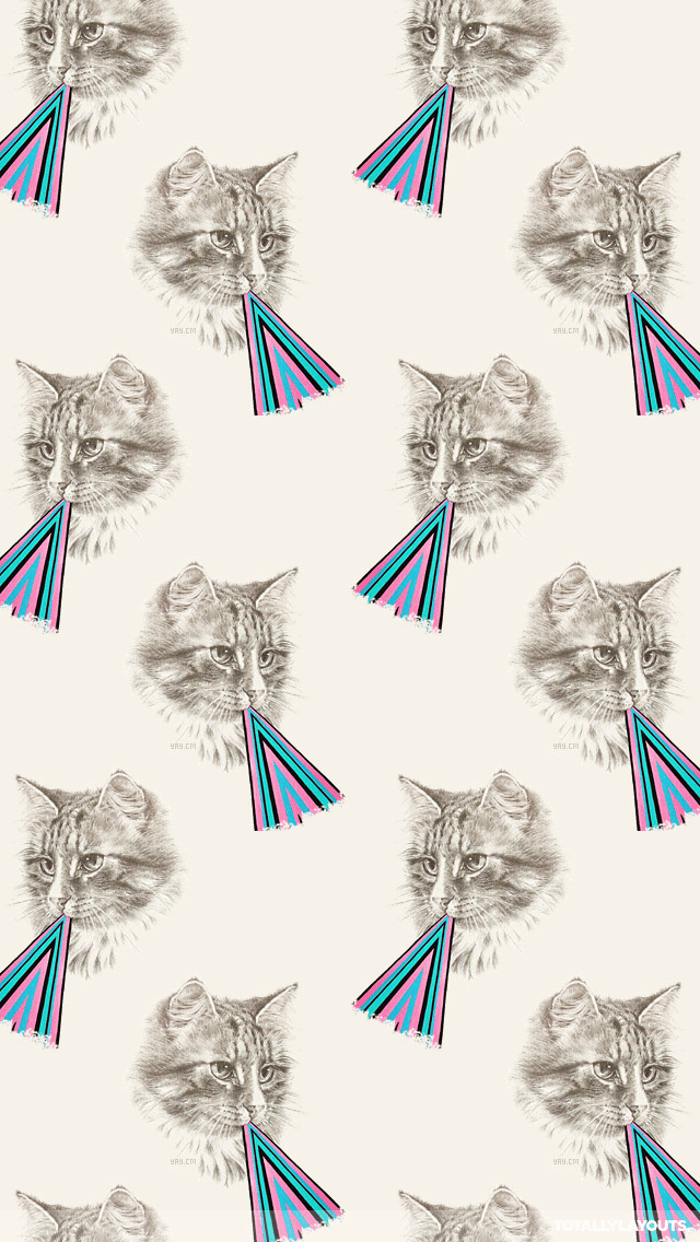 Hipster Triangle Cat Iphone Wallpaper - Android Wallpaper Cat Hd , HD Wallpaper & Backgrounds