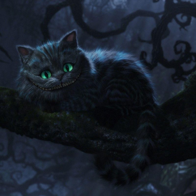 10 Top Cheshire Cat Wallpaper Hd Full Hd 1080p For - Chester Cat Alice In Wonderland Quotes , HD Wallpaper & Backgrounds