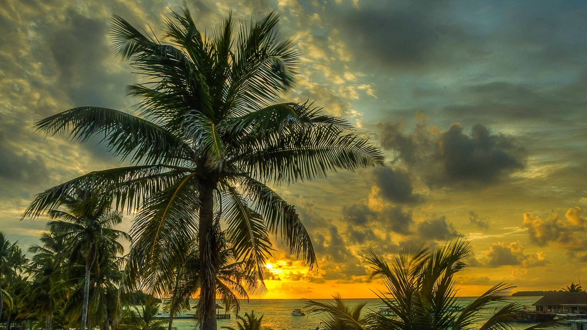 Download 1920×1080 Maldives Palms Trees Shadow Sea - Hdr 4k Wallpaper Sea , HD Wallpaper & Backgrounds