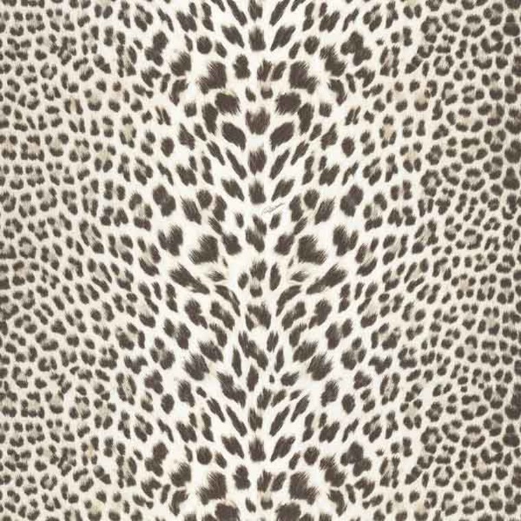 Roberto Cavalli Pantera Rc15096 - Roberto Cavalli Leopard Print , HD Wallpaper & Backgrounds
