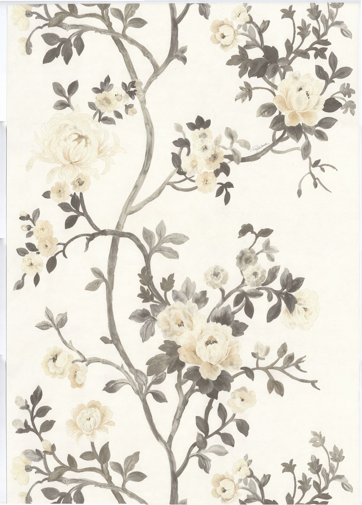 Roberto Cavalli - Wallpaper (#480849) - HD Wallpaper & Backgrounds Download