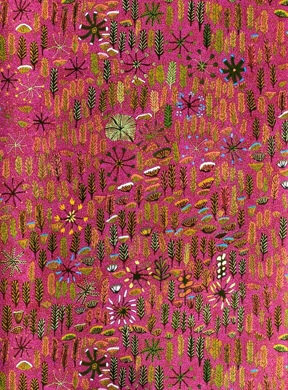 Pink - Floral Design , HD Wallpaper & Backgrounds