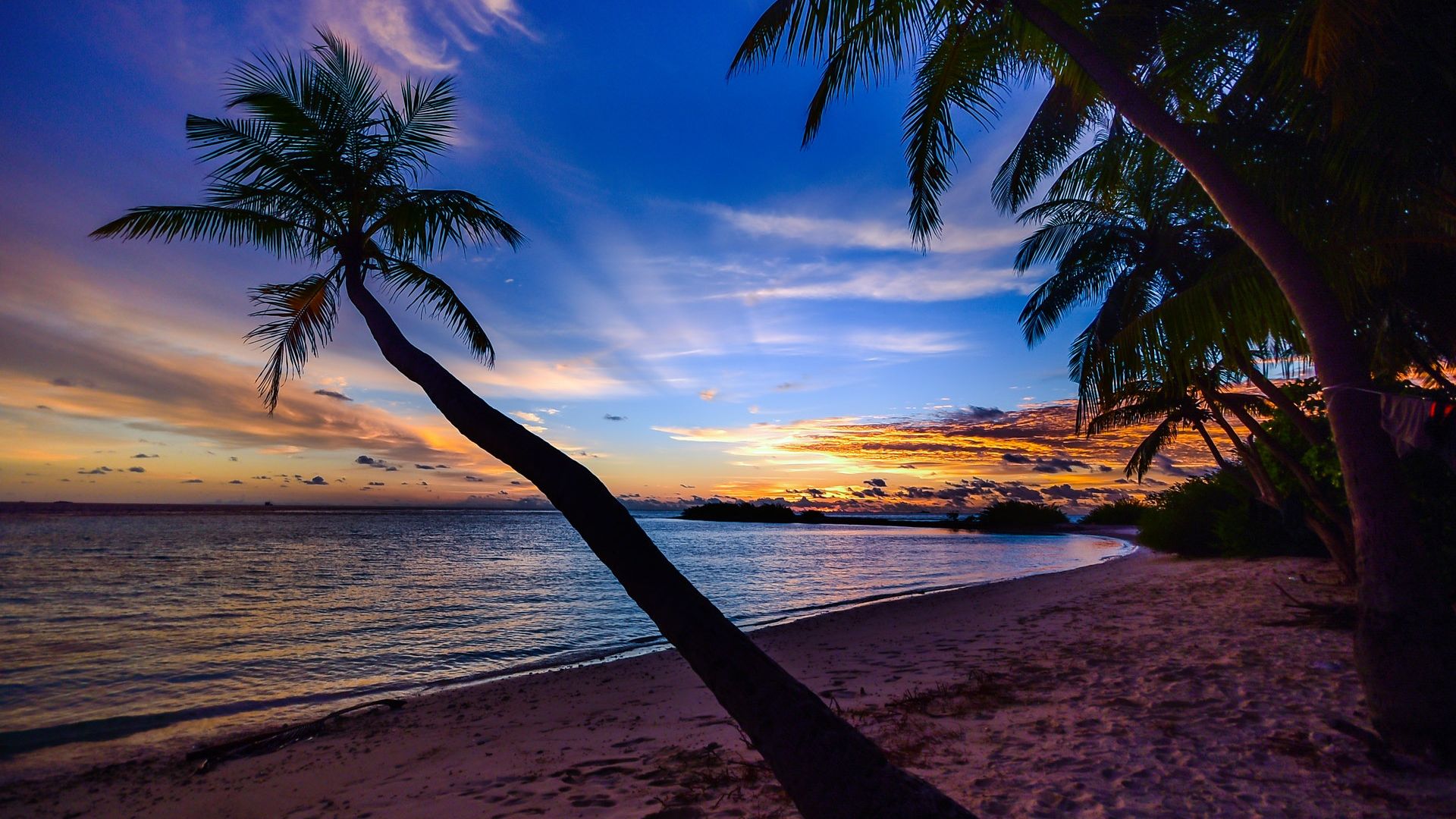 Beach Sunset Desktop Background - Palm Trees Laptop Background , HD Wallpaper & Backgrounds