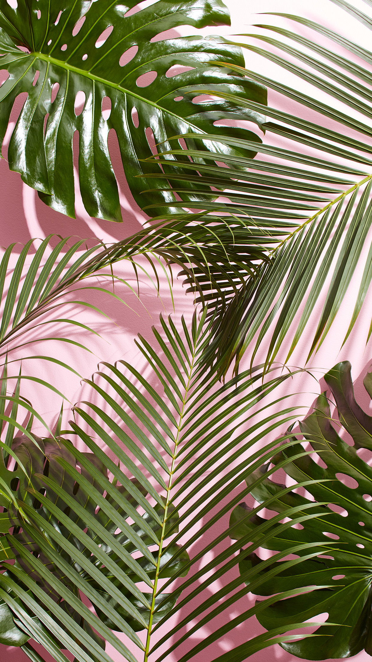 West Elm - Pink Background Green Leaves , HD Wallpaper & Backgrounds