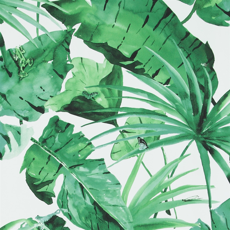 Tropical Natural Green And White Leaves Wallpaper (481846) HD Wallpaper & Backgrounds Download