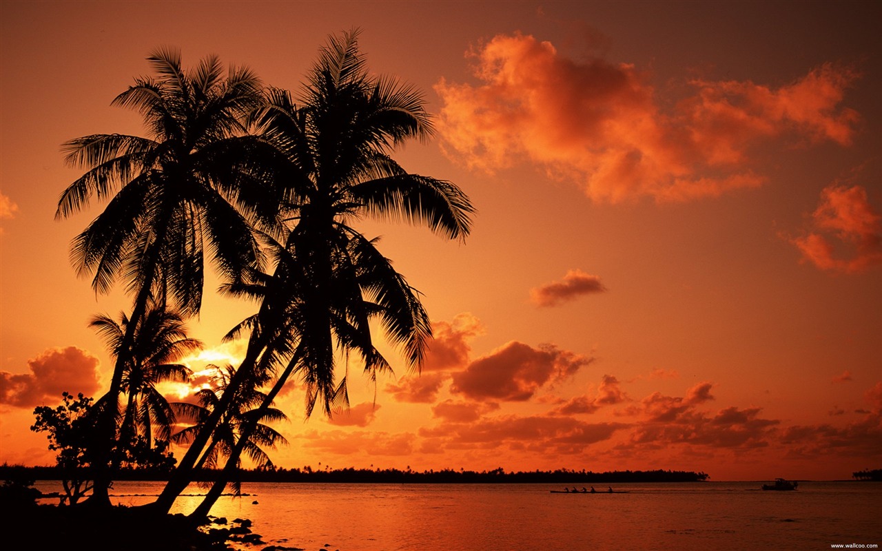 Tropical Beach Sunset - Tropical Beach Sunset Background , HD Wallpaper & Backgrounds