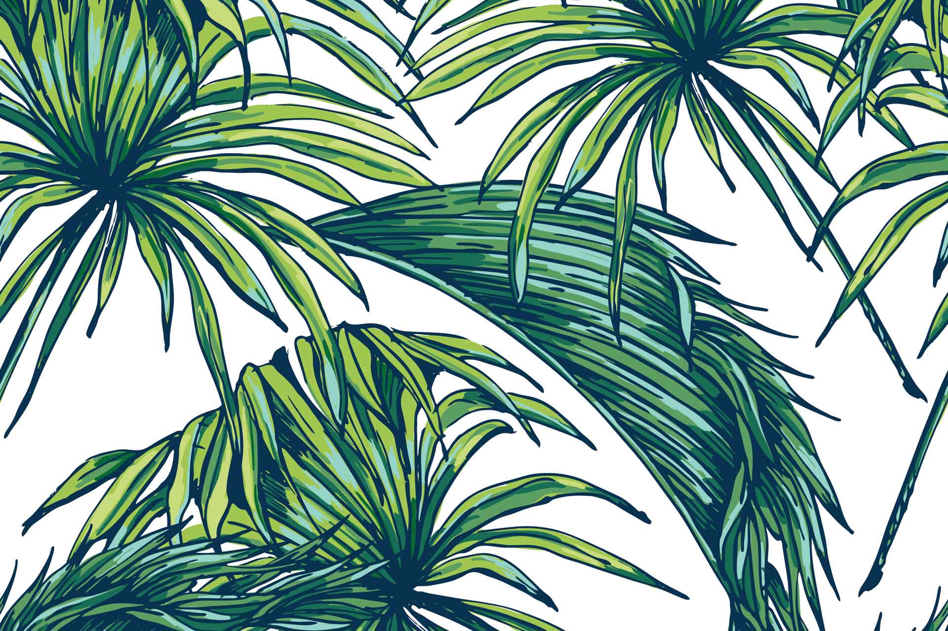 Carasaven Greenpalmleaves Wallpaper - Palm Leaves Wallpaper Hd , HD Wallpaper & Backgrounds