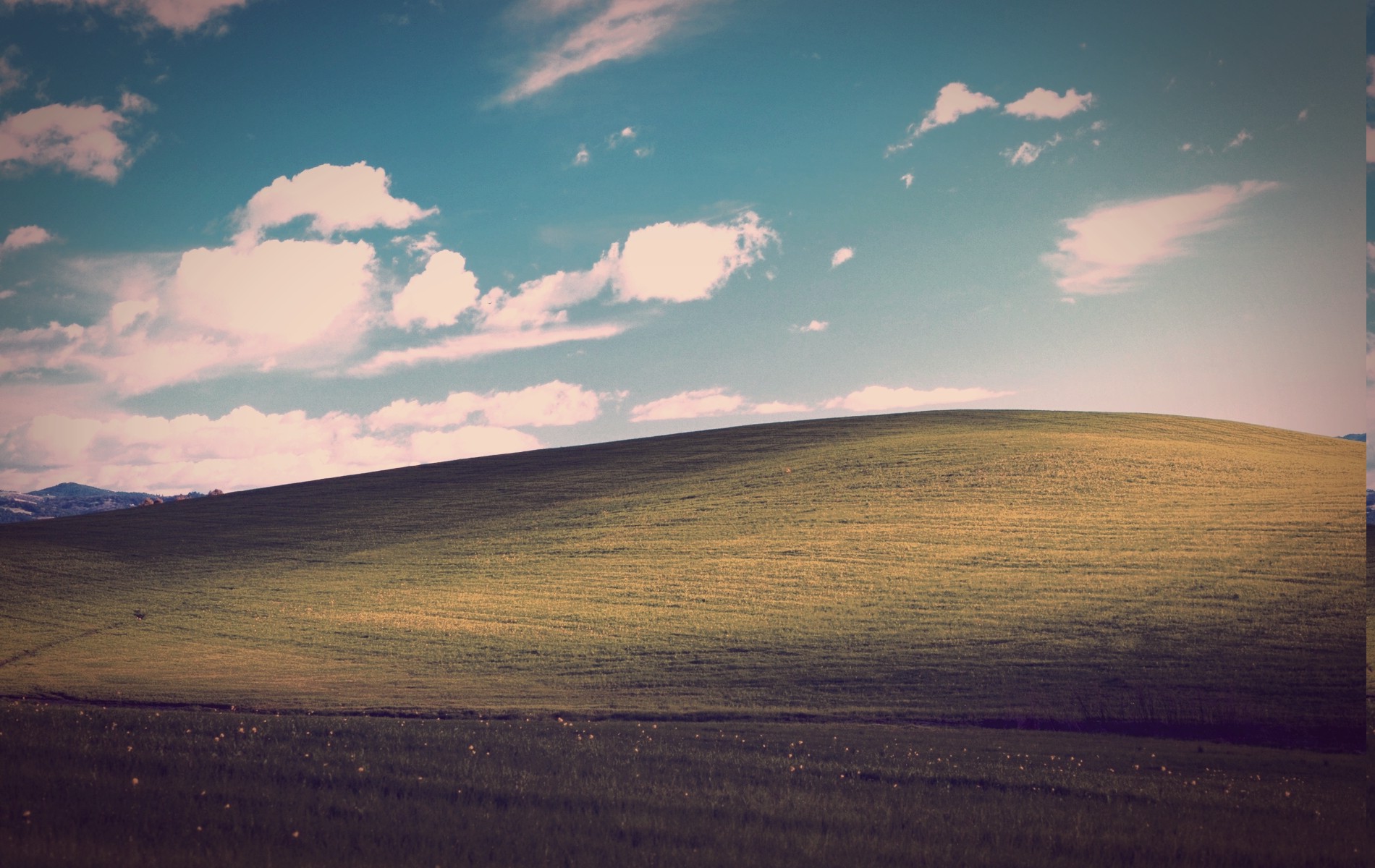 Landscape, Windows Xp, Bliss Wallpapers Hd / Desktop - Field , HD Wallpaper & Backgrounds