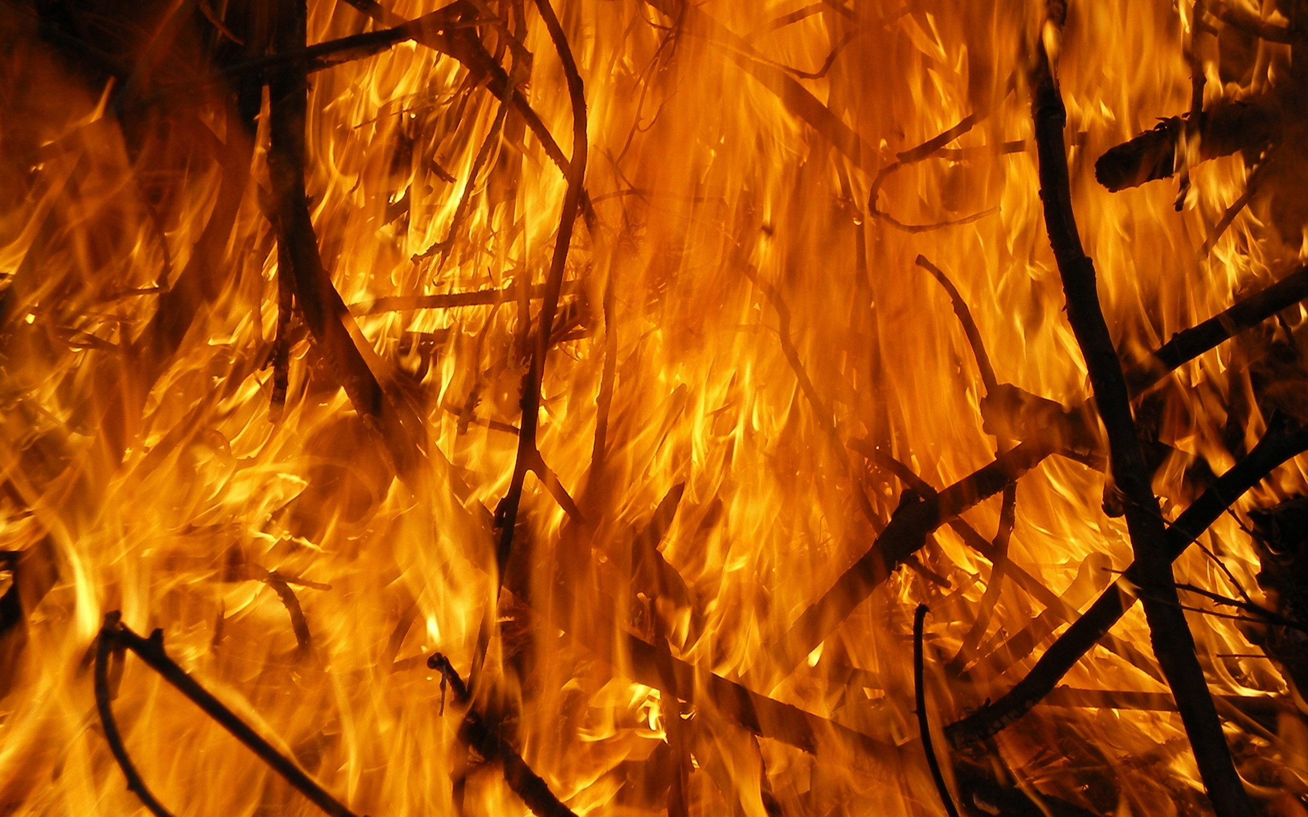 Orange Wood Fire Flames Beautiful Nature Live Wallpaper - Anime Forest Fire Background , HD Wallpaper & Backgrounds