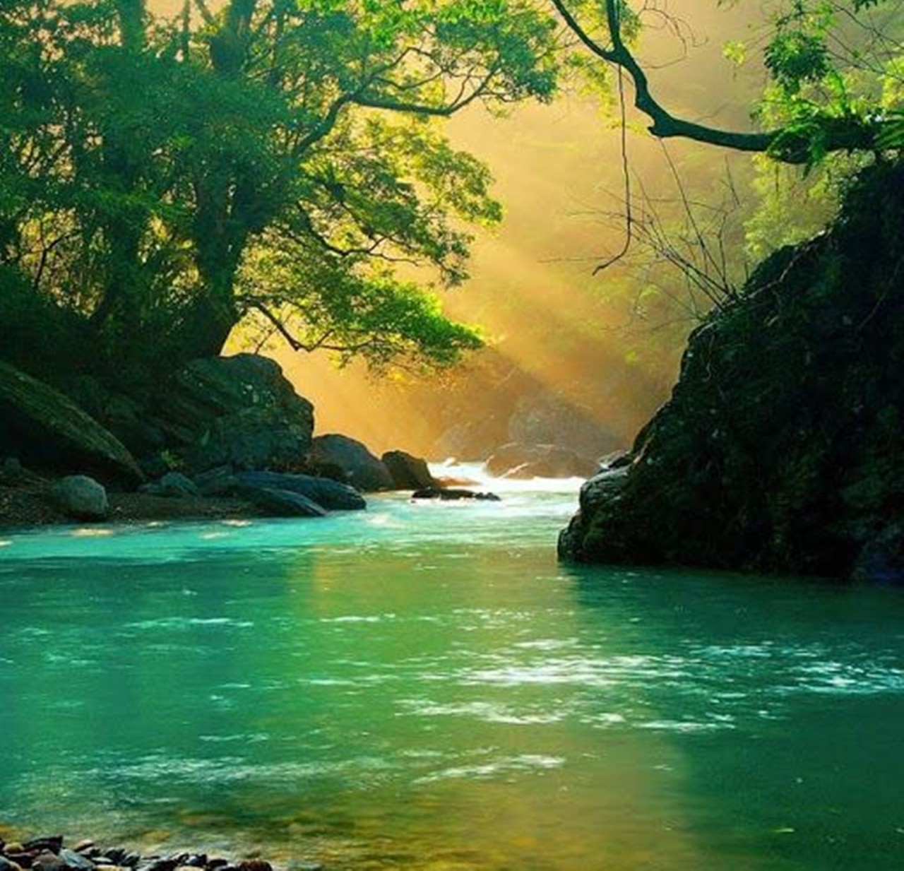 Nature Beauty Rivers Green Forests New River Hd - Beauty Green Nature , HD Wallpaper & Backgrounds