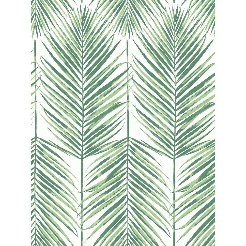 Seabrook Designs Paradise Tropic Green Palm Leaf Wallpaper - Wallpaper , HD Wallpaper & Backgrounds