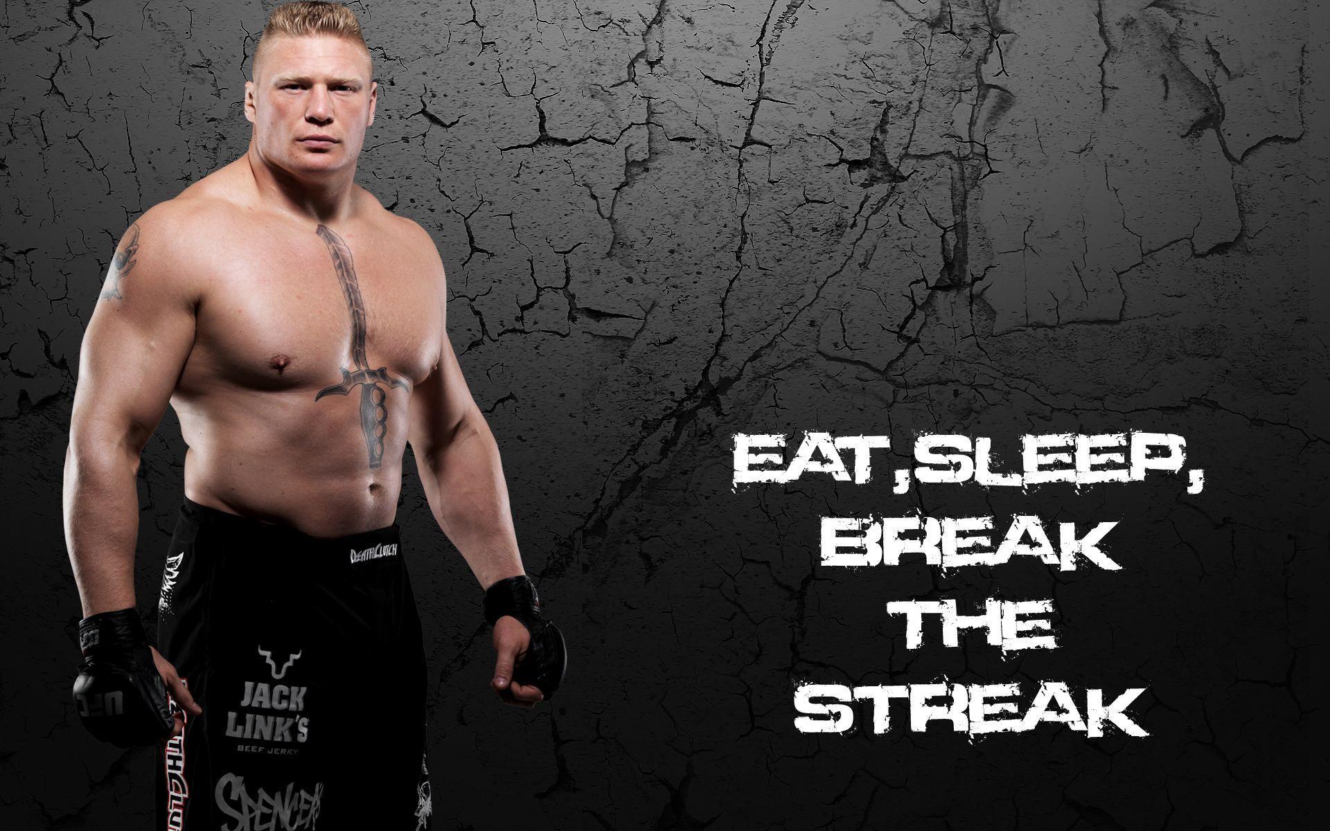 Wwe Royal Rumble 2015 Brock Lesnar Hd Wallpape - Brock Lesnar Hd , HD Wallpaper & Backgrounds