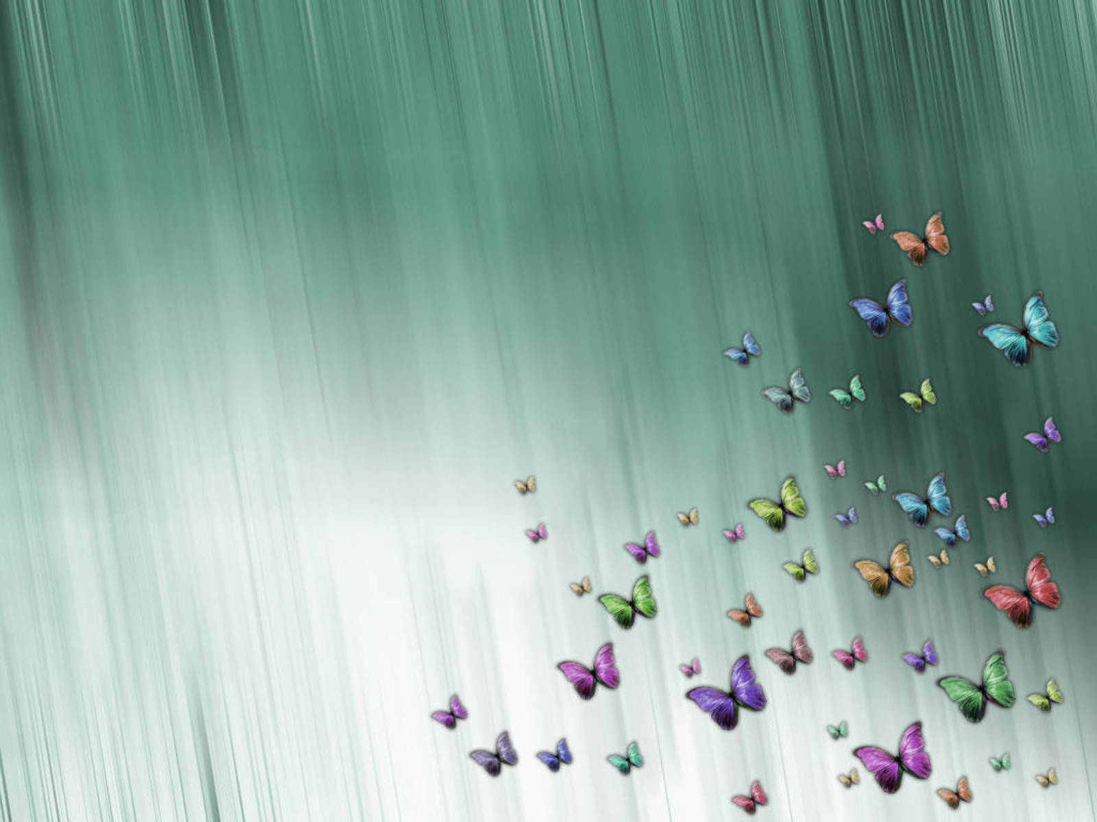 Beautiful Butterflies - Beautiful Wallpapers Of Butterflies , HD Wallpaper & Backgrounds