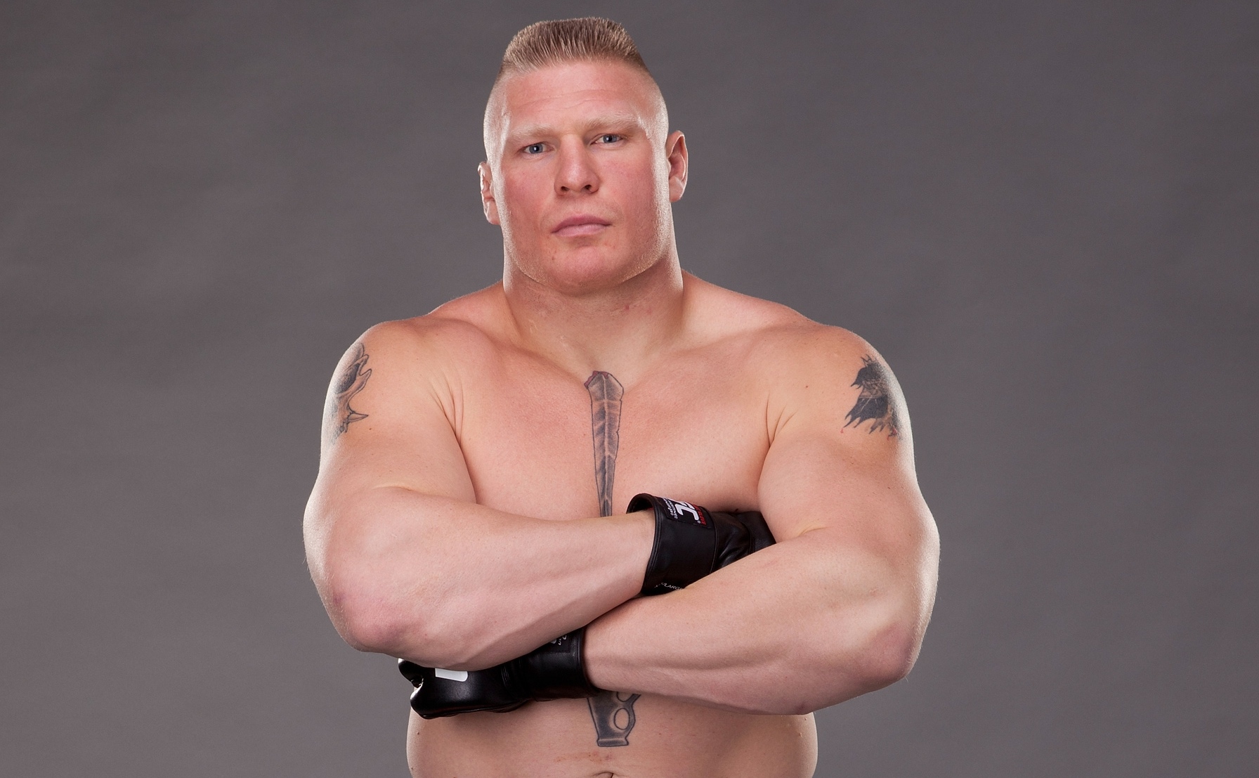 Brock Lesnar Hd Background - Brock Lesnar Francis Ngannou , HD Wallpaper & Backgrounds