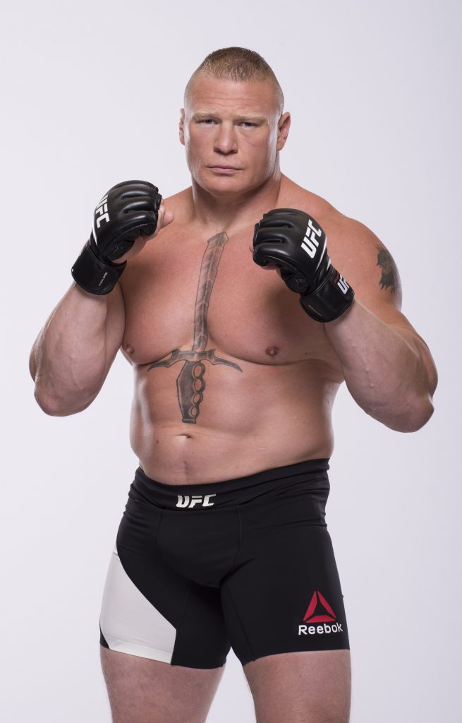 Brock Lesnar Hd Wallpaper 2018 Download Free Brock - Brock Lesnar Ufc Hd , HD Wallpaper & Backgrounds