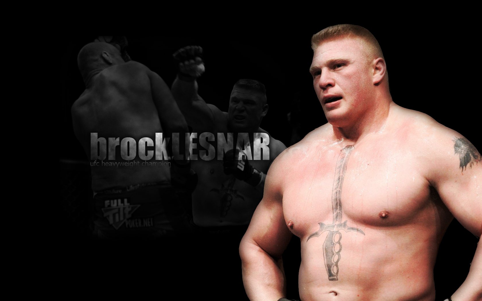 Amazing Brock Lesnar Wallpapers Hd - Brock Lesnar , HD Wallpaper & Backgrounds