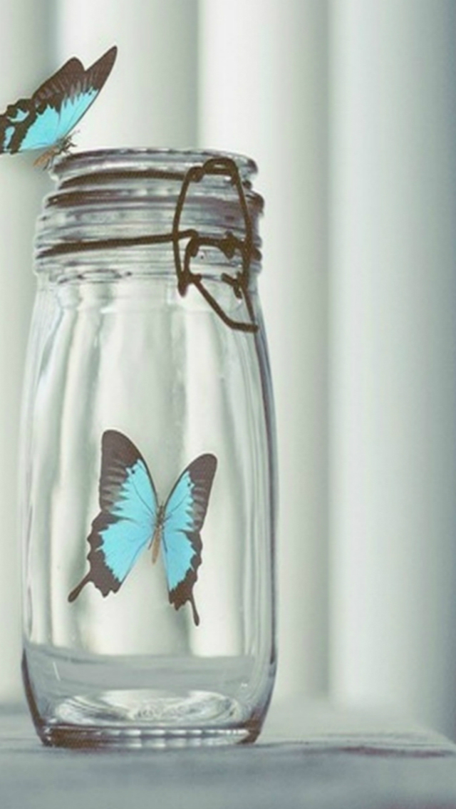 Blue Beautiful Butterfly In Glass Bottle Iphone Se - Butterfly In Glass Bottle , HD Wallpaper & Backgrounds