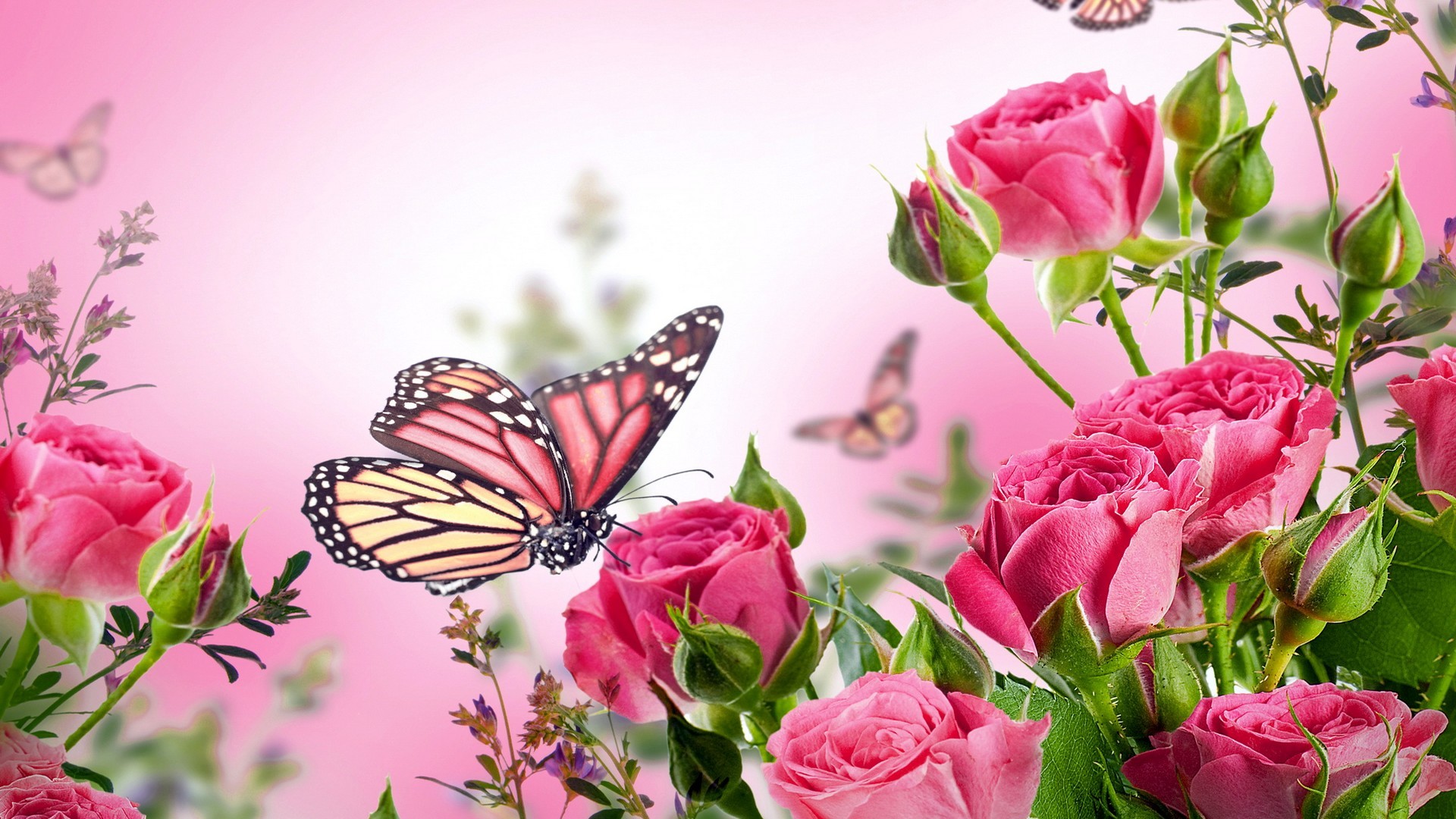 Pink Butterfly Wallpaper Hd - Flowers And Butterflies Background , HD Wallpaper & Backgrounds