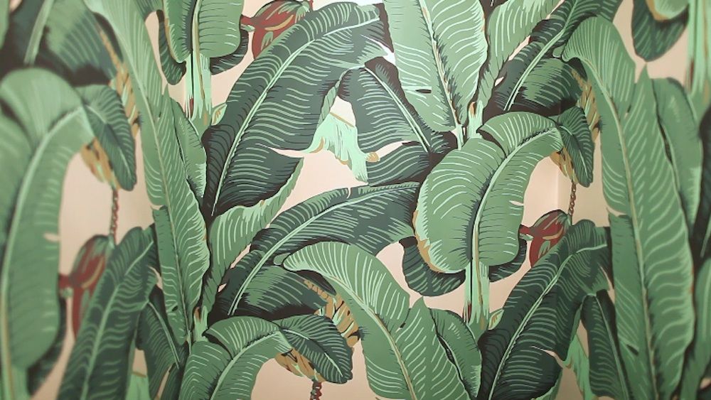 Tree Print Wallpaper - Beverly Hills Hotel Palm Print , HD Wallpaper & Backgrounds