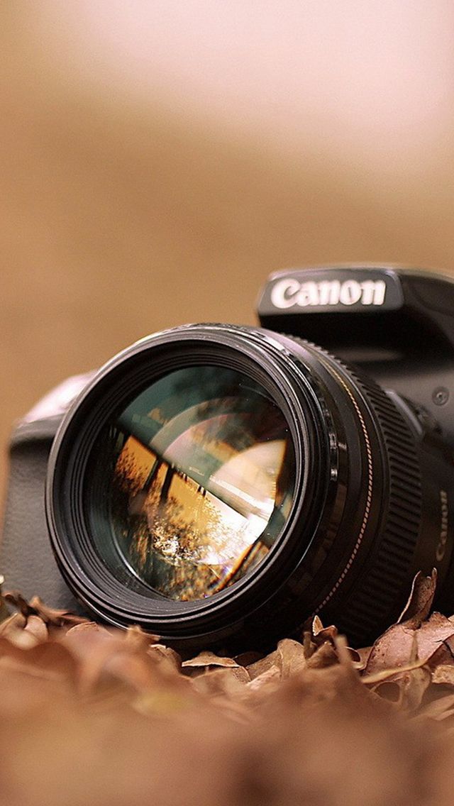 Canon Camera Macro Fall Leaves - Dslr Camera Wallpaper For Mobile , HD Wallpaper & Backgrounds