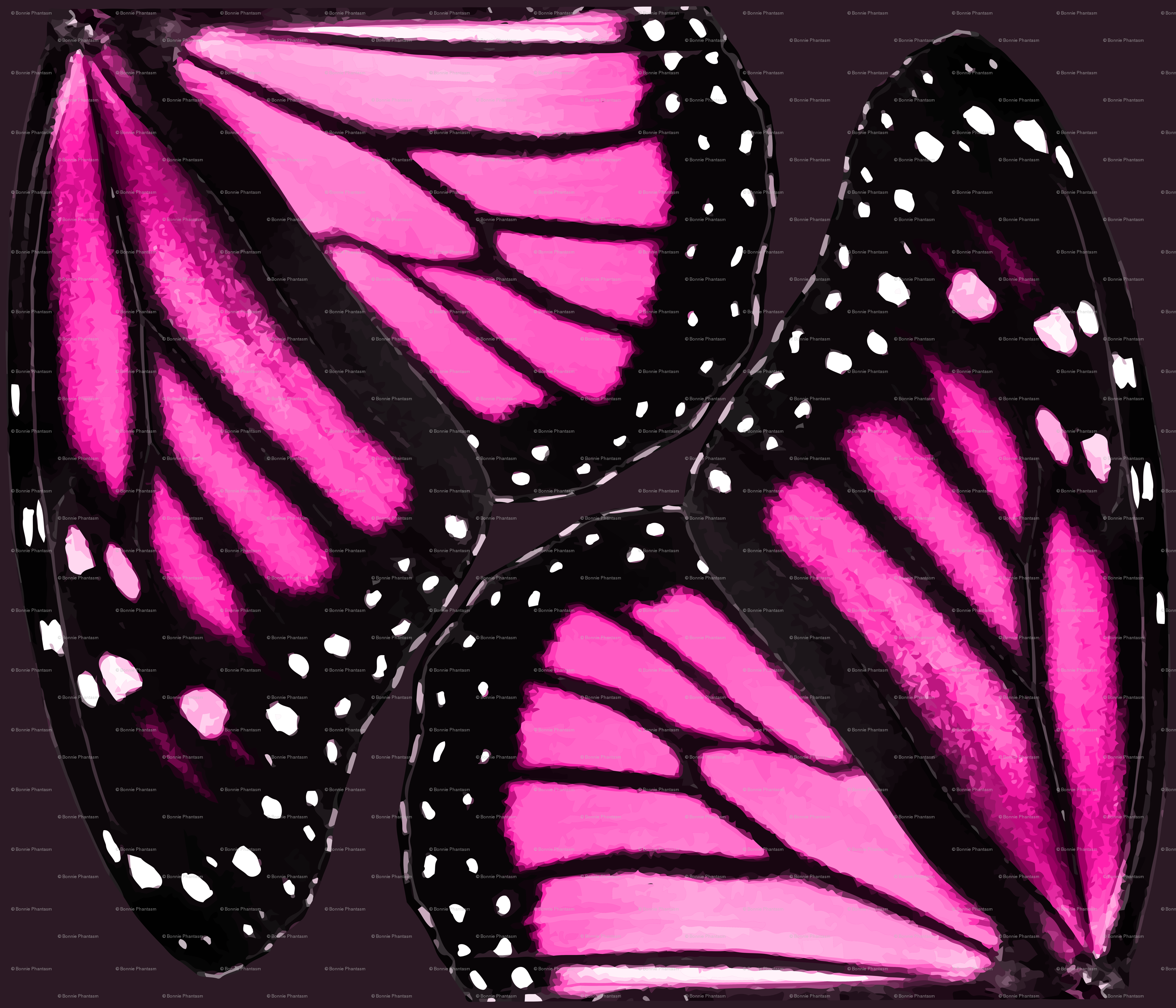 Butterfly Wings Up Close , HD Wallpaper & Backgrounds