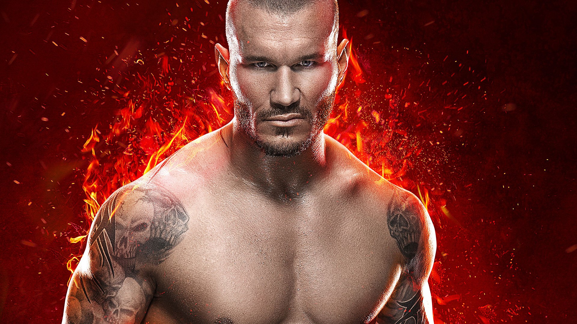 Randy Orton 1080p Hd Wallpaper Background - Wwe Randy Orton Image 2015 , HD Wallpaper & Backgrounds