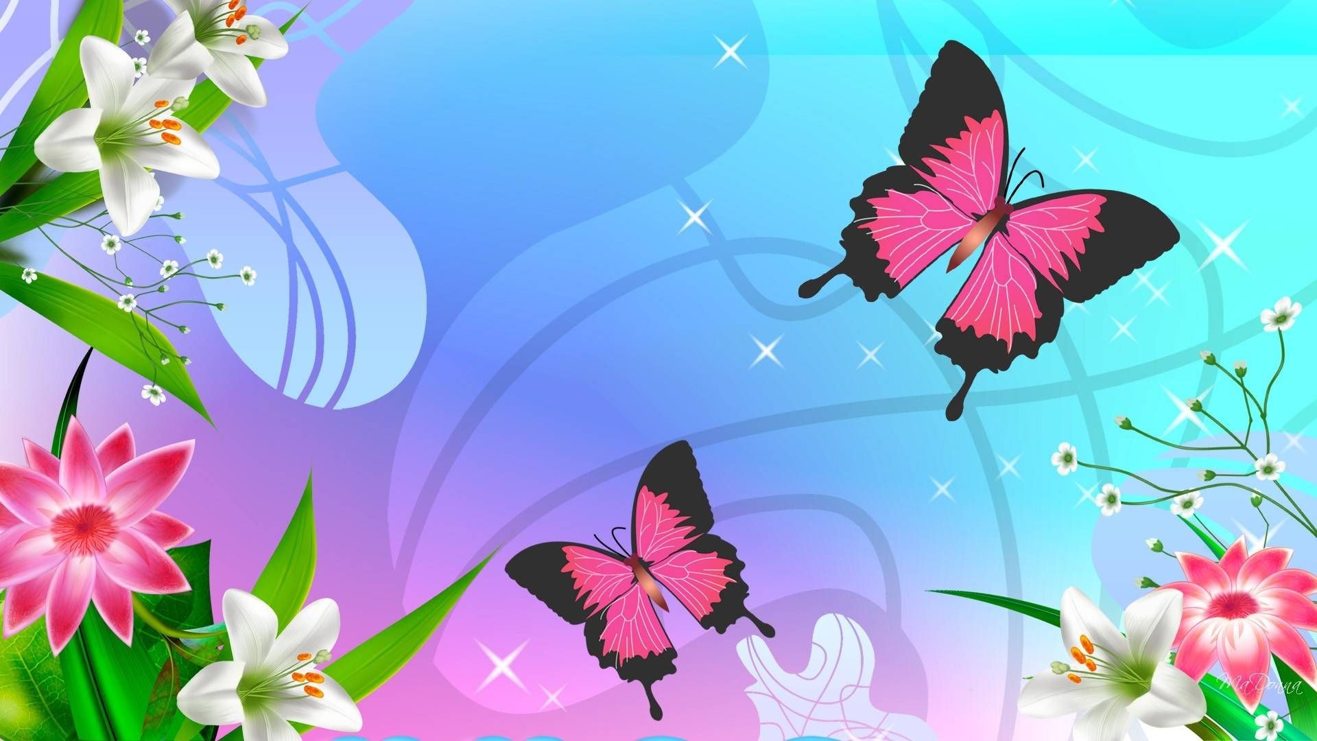 New - Cute Butterfly Backgrounds , HD Wallpaper & Backgrounds