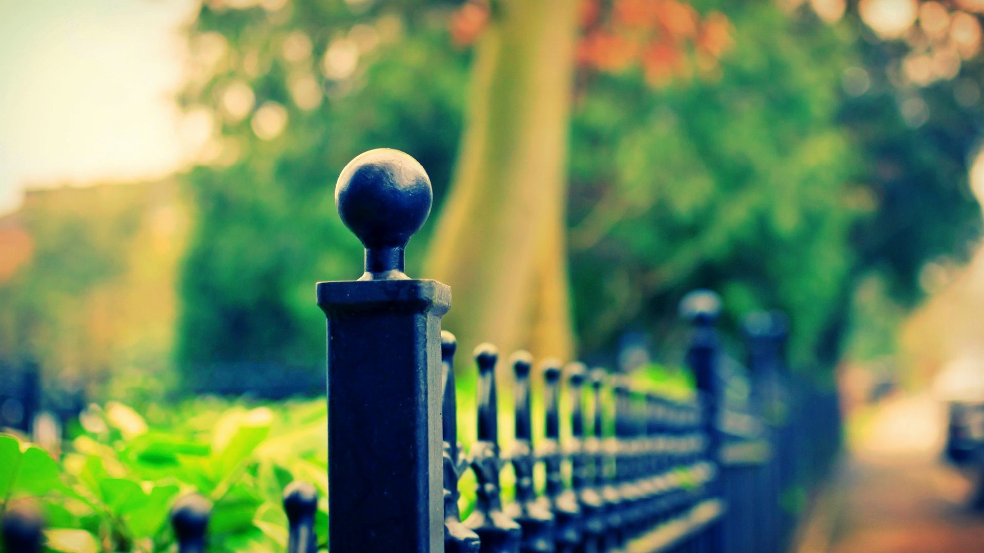 Featured image of post Dslr Background Pic Full Hd - Choose from hundreds of free hd backgrounds.