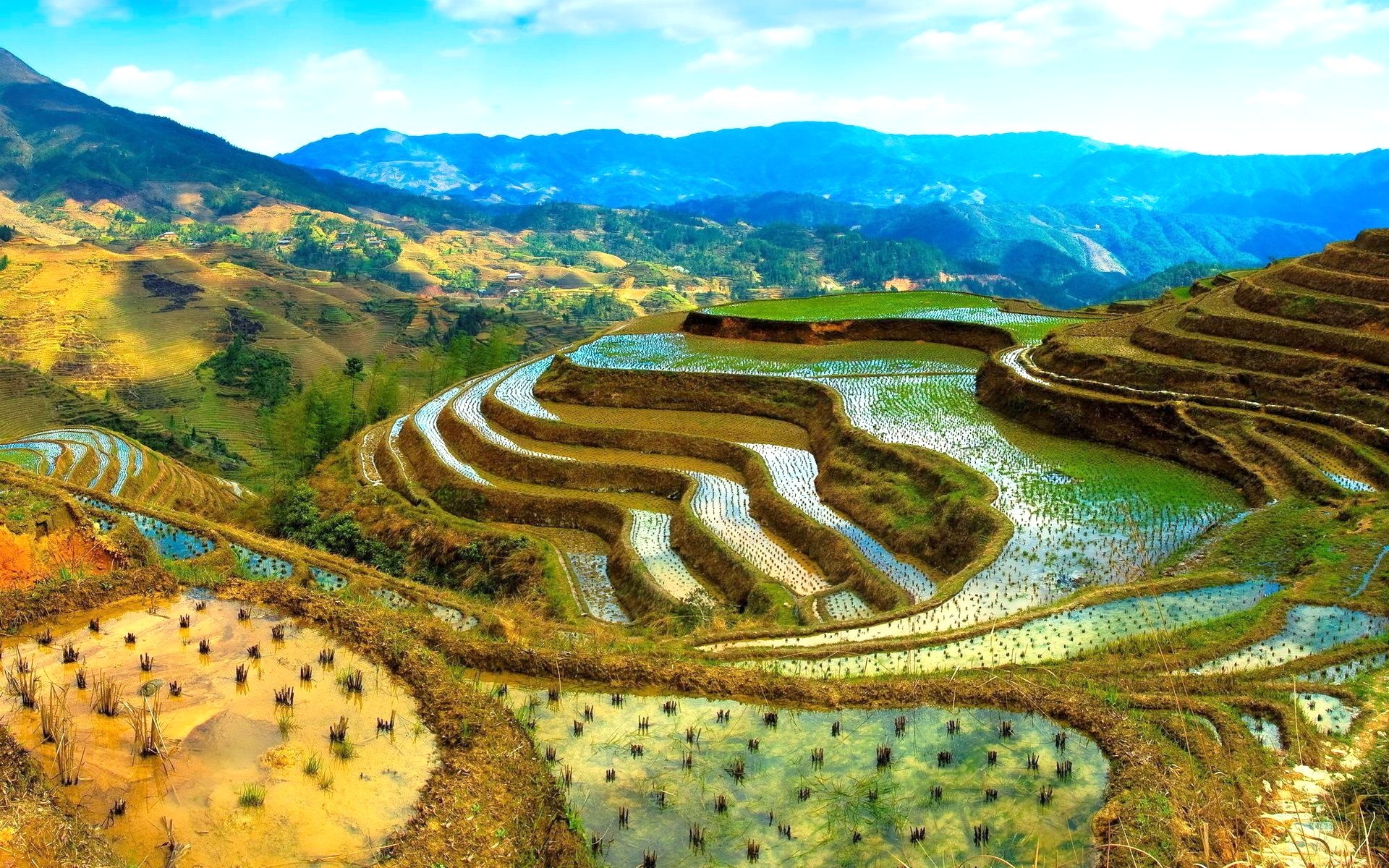 Philippines Desktop Wallpaper - Rice Terraces Philippines Hd , HD Wallpaper & Backgrounds