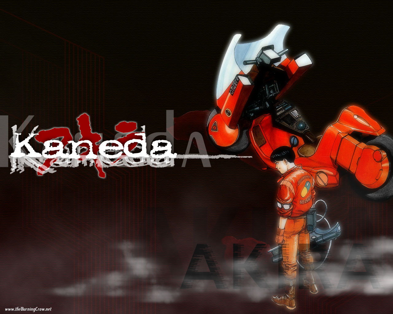 Katsuhiro Otomo, Akira, Shotaro Kaneda Wallpaper - Akira , HD Wallpaper & Backgrounds