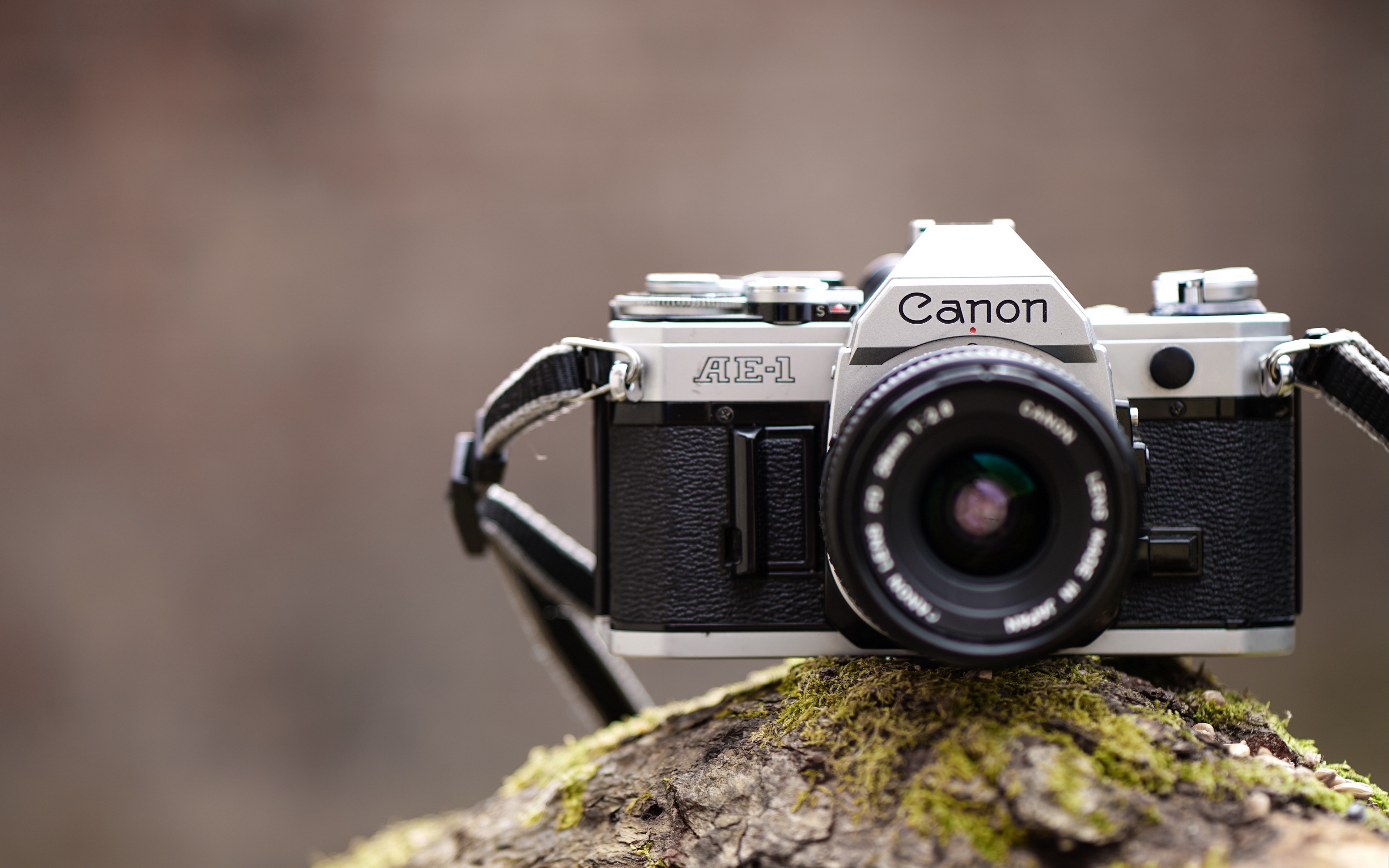 Wallpaper Canon, Camera, Lens - Canon Camera Wallpaper 4k , HD Wallpaper & Backgrounds