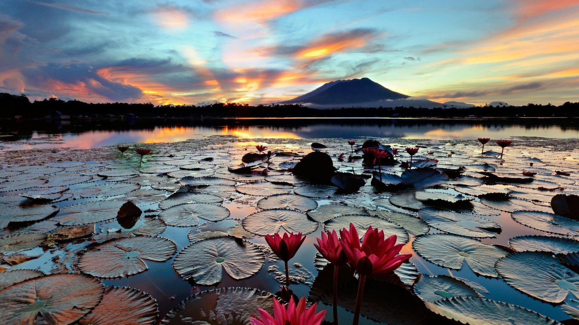 trees lake landscape mac hd nature wallpapers john k chua photography 487398 hd wallpaper backgrounds download