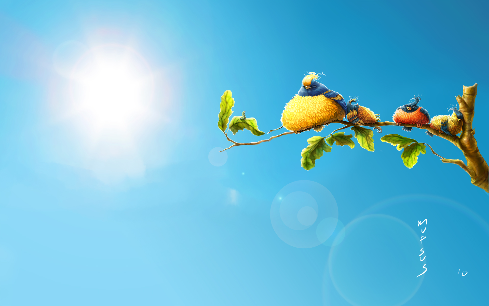 Sun Birds Wallpaper - Funny Bird Wallpaper Hd , HD Wallpaper & Backgrounds