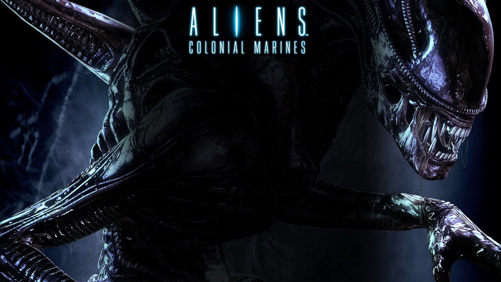 Movies Alien Wallpaper Hd - Aliens Colonial Marines Collection Hd , HD Wallpaper & Backgrounds