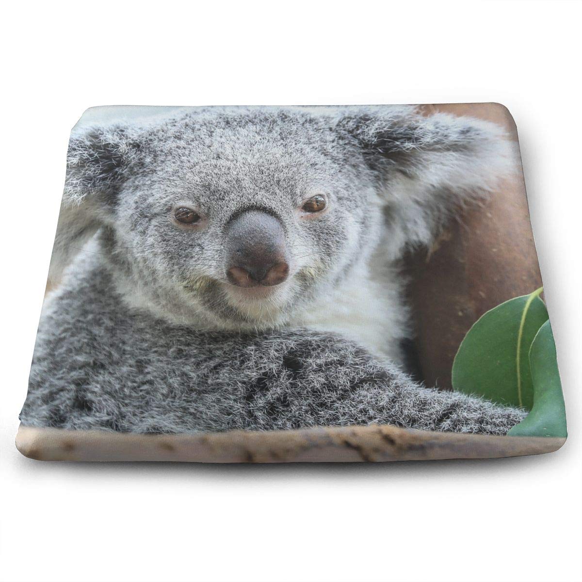 Ieikkd Koala Wallpaper Seat Cushion Pads Memory Foam - Koala , HD Wallpaper & Backgrounds