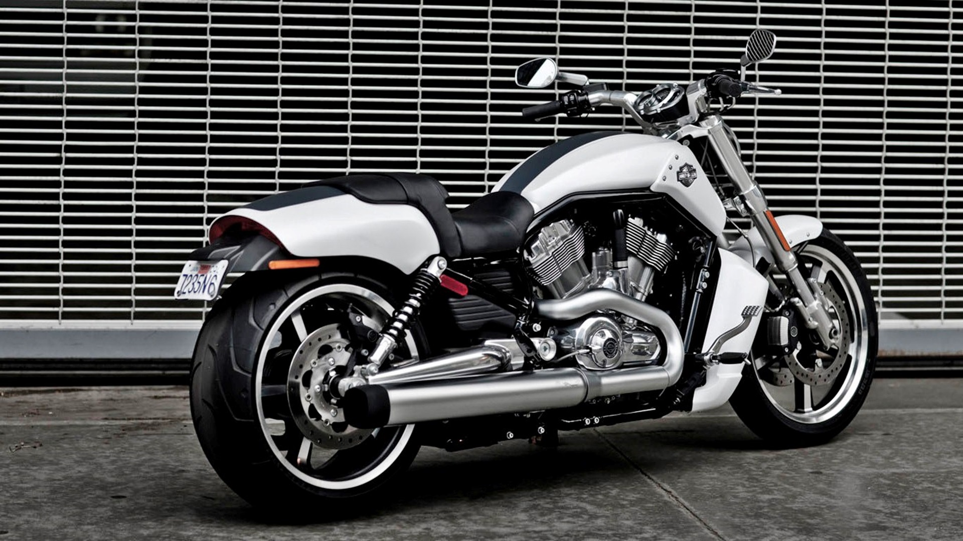 White Bike Harley Davidson Hd Wallpapers - Harley Davidson V Rod White , HD Wallpaper & Backgrounds