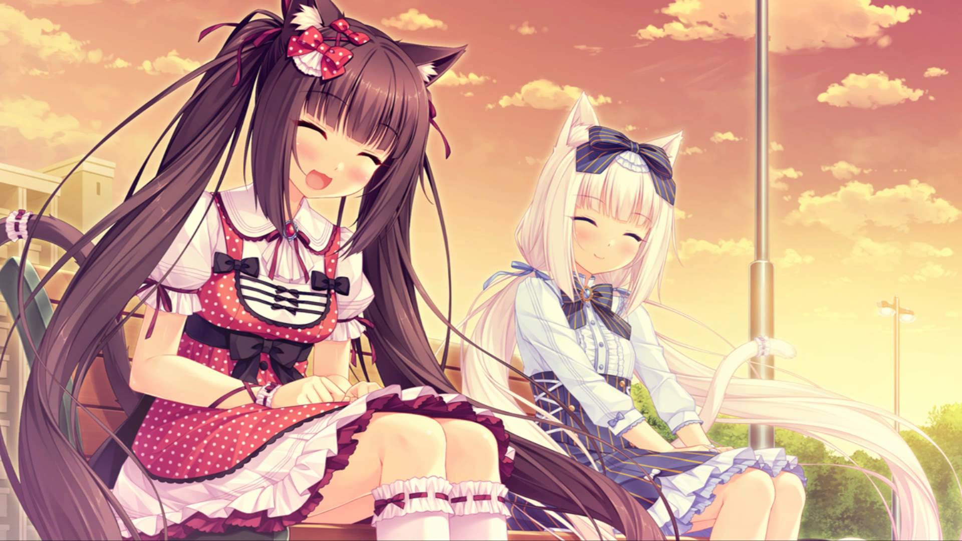 Nekopara Wallpaper - Nekopara 桌布 , HD Wallpaper & Backgrounds