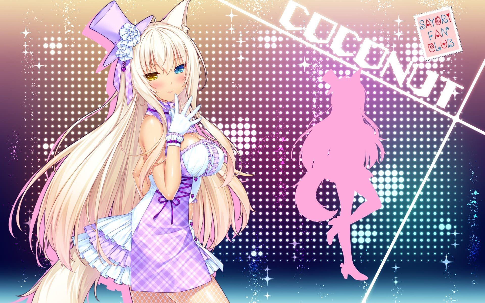 Coconut Nekopara Live , HD Wallpaper & Backgrounds